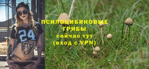 2c-b Алзамай
